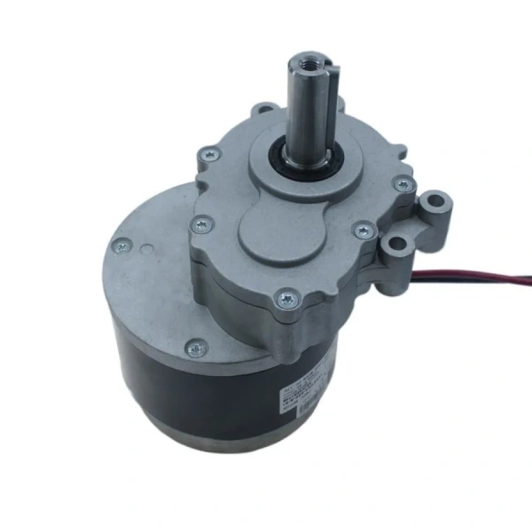 24V 82Rpm Yüksek Torklu Bisiklet Motoru