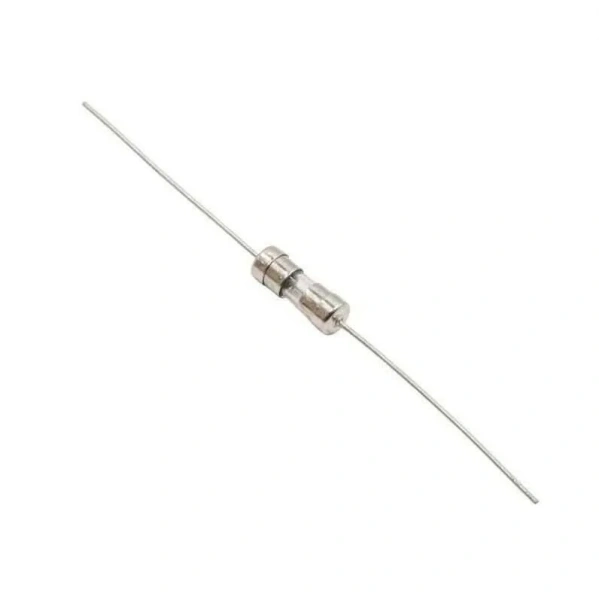 2A 3.6x10mm Gecikmeli Cam Sigorta