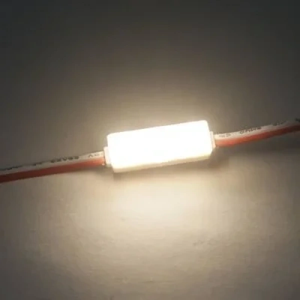 3lü Mercekli Mini Modül Led - Gün Işığı 12V 0.5W