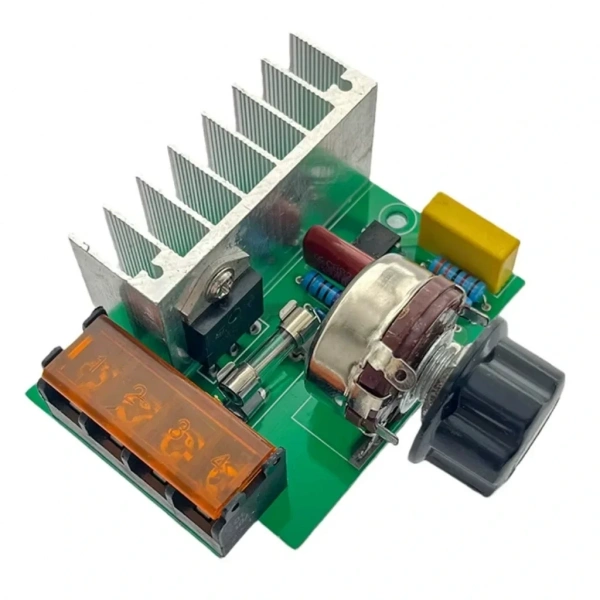 4000W 220V AC Voltaj Regülatörü Dimmer