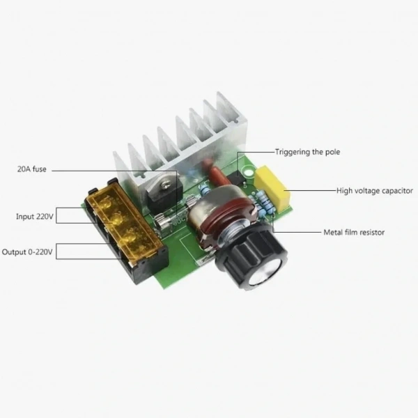 4000W 220V AC Voltaj Regülatörü Dimmer