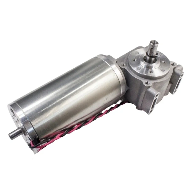 63ZYT24-95/31 24V 35W 225RPM Otomatik Kapı Motoru