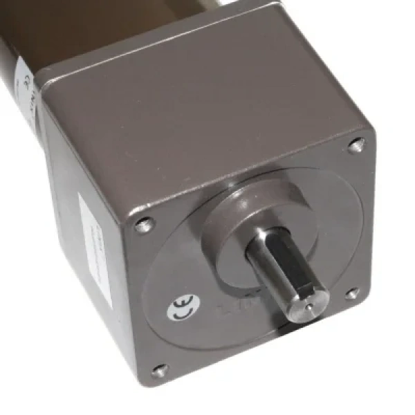90mm 24V 100RPM DC Motor 85ZY24-120-02