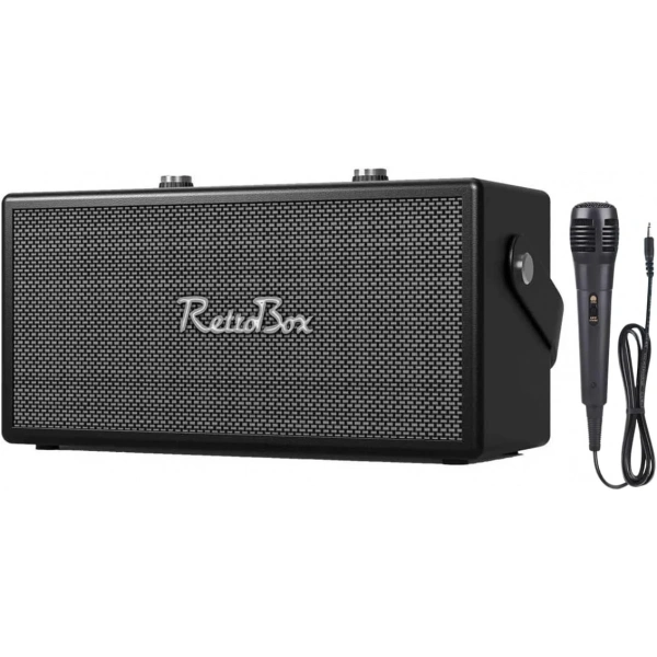 ACS-19 20W Gücünde 2x3 İnç Hoparlörlü Mikrofonlu Retro Müzik Kutusu