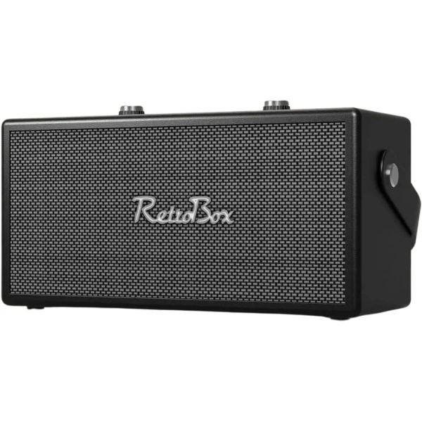 ACS-19 20W Gücünde 2x3 İnç Hoparlörlü Mikrofonlu Retro Müzik Kutusu