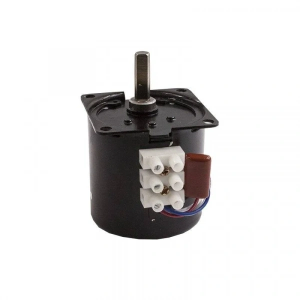 B60-KTYZ 15RPM 14W Eksantrik AC Senkron Motor