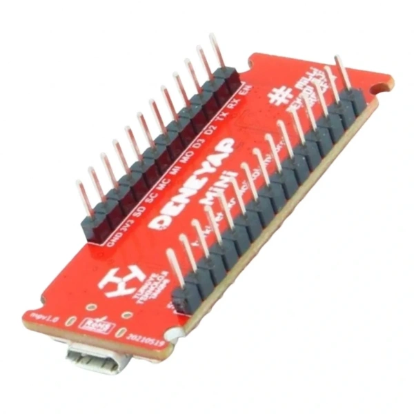 Deneyap Mini