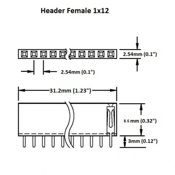 Dişi Pin Header 40 Pin 2.54mm 1x40 180° Tek Sıra