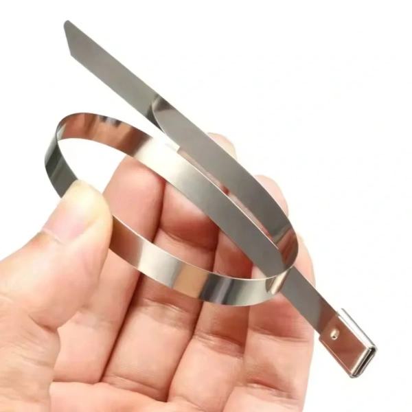 GWEST Metal Kablo Bağı MTL 680 ST 680x4,6mm  (100 adet)