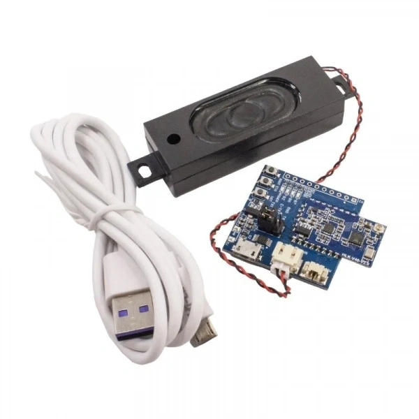 HLK-V40 Ses Sentezi Modülü Hoparlör+Mikrofon Test Kit