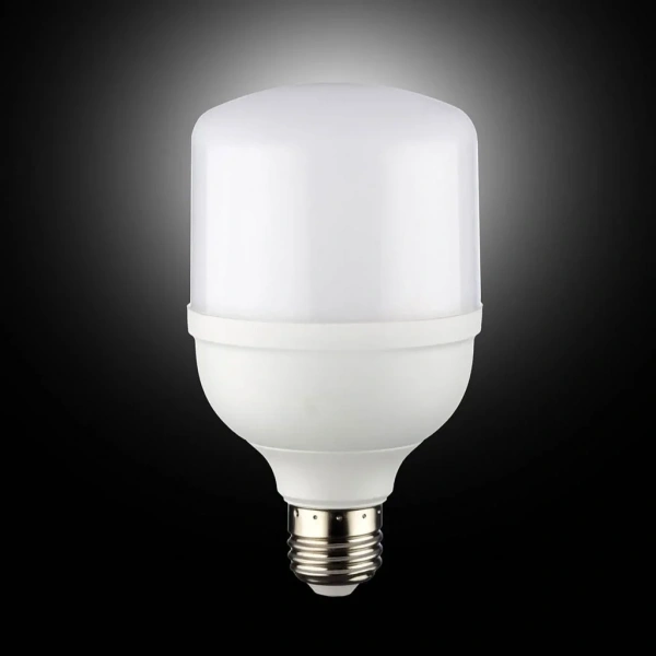 NOAS YL95-2001 20W 6500K Led Torch Ampul