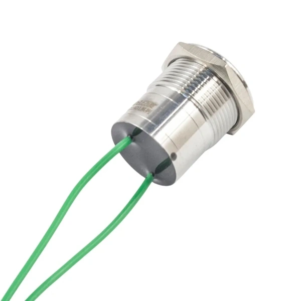 WD19D1-P2 19mm Düz Yaylı Kablolu Metal Buton