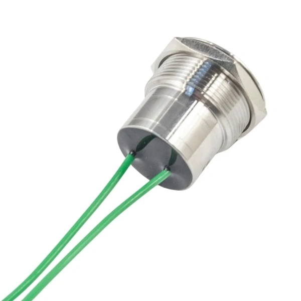 WD22D1-P2-E 22mm Düz Yaylı Kablolu Metal Buton