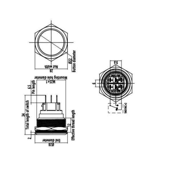WD25B-G1 25mm Çıkık Yaylı Metal Buton