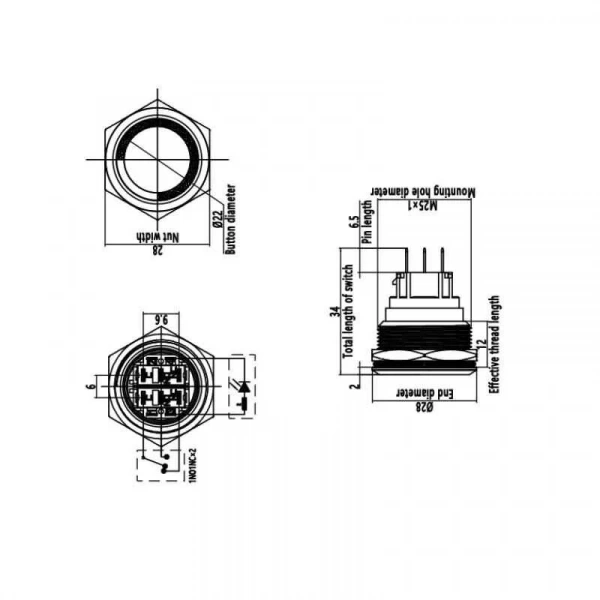 WD25B-P1-E 25mm Düz Yaylı Işıklı Metal Buton - Mavi