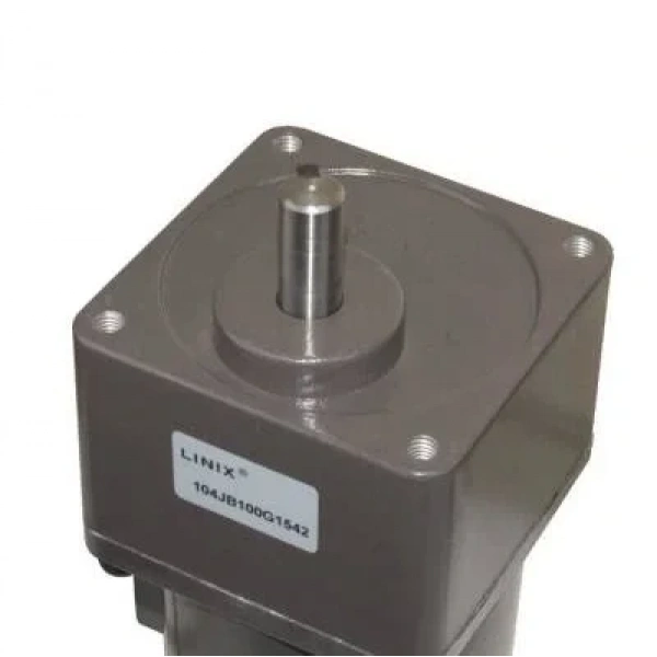 YN100-120 220V 130RPM AC Motor