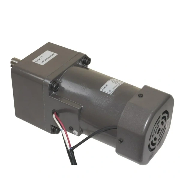 YN100-120 220V 36RPM AC Motor