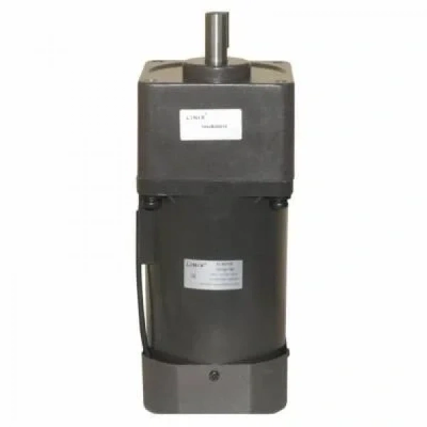 YN100-180 220V 52RPM AC Motor