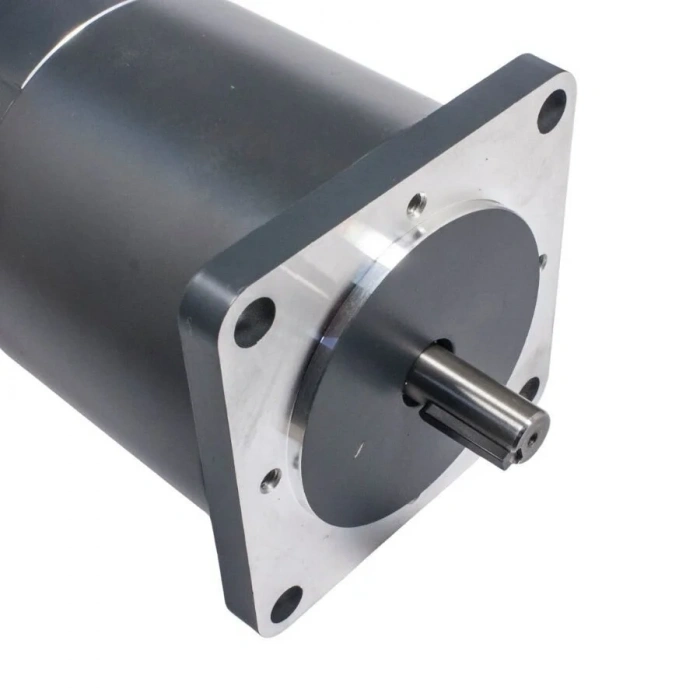 114ZYT 24V 500W 3000RPM DC Motor