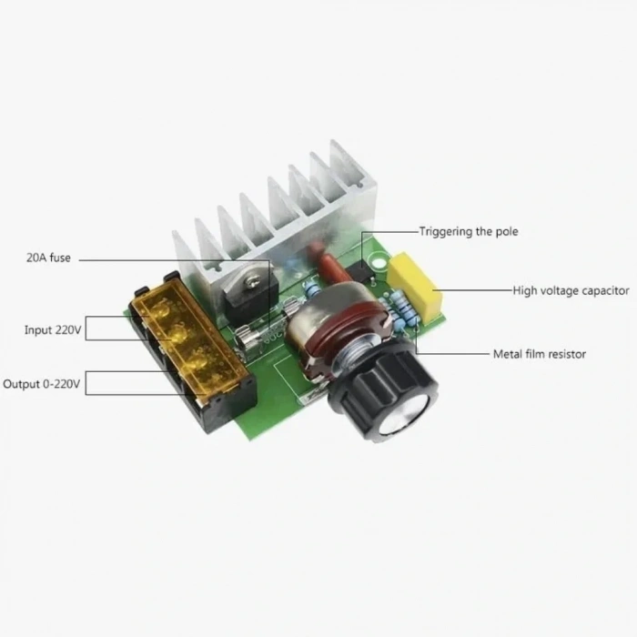 4000W 220V AC Voltaj Regülatörü Dimmer