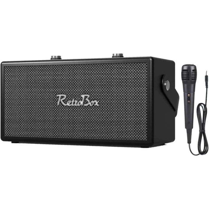 ACS-19 20W Gücünde 2x3 İnç Hoparlörlü Mikrofonlu Retro Müzik Kutusu