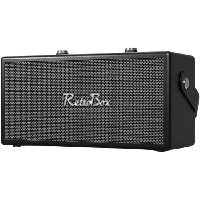 ACS-19 20W Gücünde 2x3 İnç Hoparlörlü Mikrofonlu Retro Müzik Kutusu