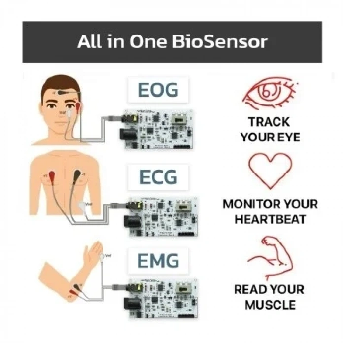 EMG EOG EKG Sensör Kartı (Kas. Göz ve Kalp Sinyalleri Algılama)