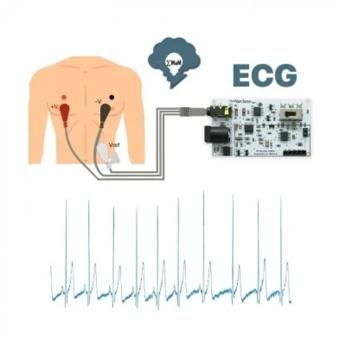 EMG EOG EKG Sensör Kartı (Kas. Göz ve Kalp Sinyalleri Algılama)