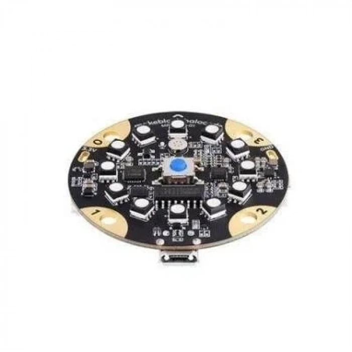 HaloCode IoT Tabanlı Kodlama Platformu