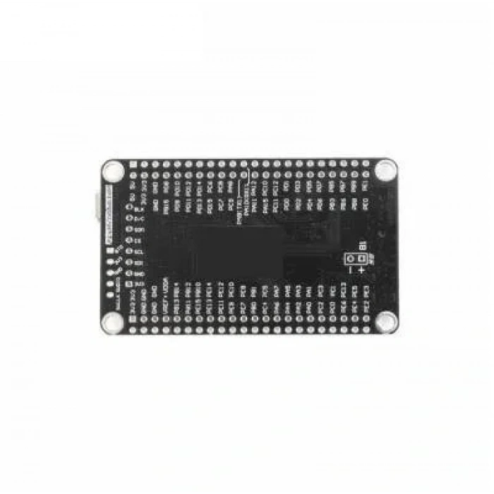 STM32F407VET6 Mini Geliştirme Kartı