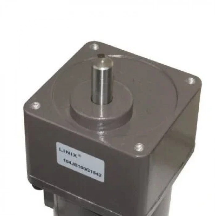 YN100-140 220V 13RPM AC Motor