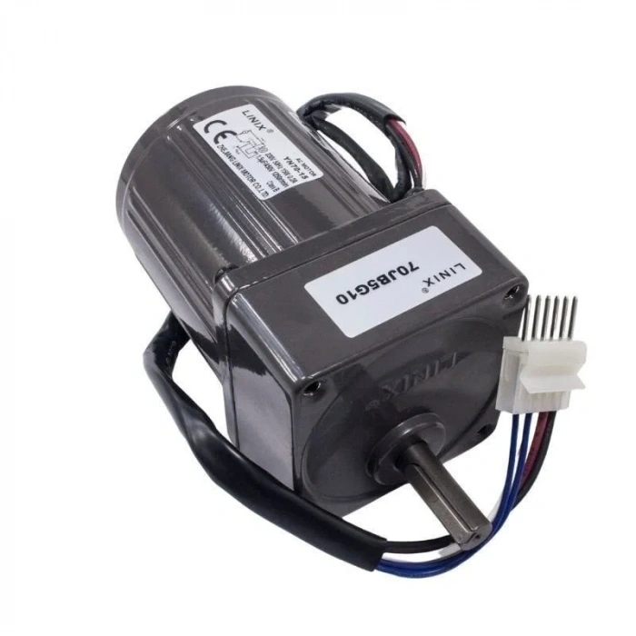 YN70-15 220V 250 RPM AC Motor
