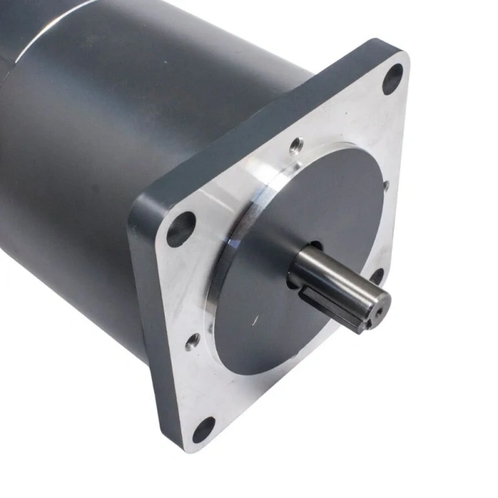 ZYT-114 24V 500W 3000RPM DC Motor