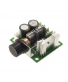 10 A DC Motor Sürücü