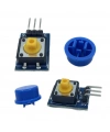 12x12mm Push Buton Switch Modül Mavi Kapak 1 Adet