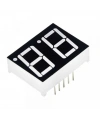 14mm 2li 7 Segment Display - Katot