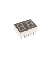 14mm 2li 7 Segment Display (Katot)