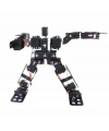 15 Eksenli İnsansı Robot - Humanoid Robot