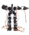 19 Eksenli İnsansı Robot - Humanoid Robot