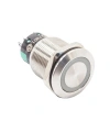 19mm Düz Anahtarlı 2NO Işıksız Metal Buton