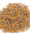 22pF 63V Mercimek Kondansatör 2.5mm