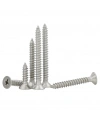 2.9x6.5mm YHB Sac Vidası - DIN7982 10 Adet