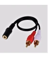 3.5mm Stereo Dişi 2 x RCA Erkek (M) Ses Kablosu
