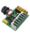 4000W 220V AC Voltaj Regülatörü Dimmer