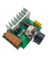 4000W 220V AC Voltaj Regülatörü Dimmer