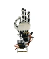 5 Eksenli Robot Kol - Sağ