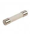 500mA 6x30mm Gecikmeli Seramik Sigorta