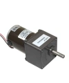 55ZY24-25-02 60mm 24V 100RPM DC Motor