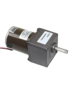 55ZY24-25-02 60mm 24V 120RPM DC Motor