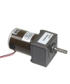 55ZY24-25-02 60mm 24V 300RPM DC Motor